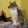 Отзыв от Александра Костина